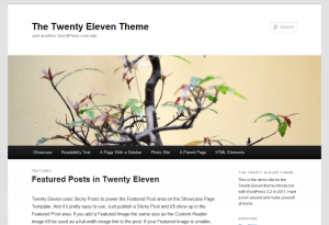 twentyeleven2